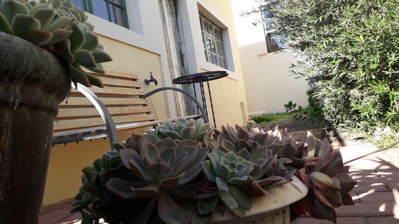 Calvinia Guesthouse Zewnętrze zdjęcie