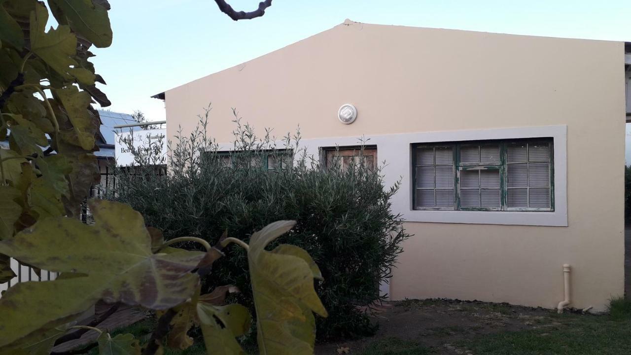 Calvinia Guesthouse Zewnętrze zdjęcie